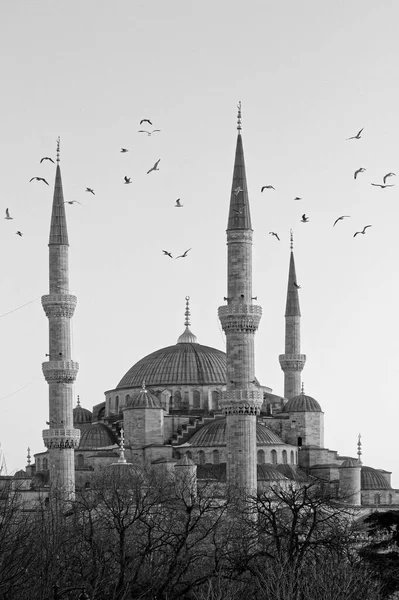 Türkei Istanbul Blick Auf Die Sultanahmet Kaisermoschee Auch Als Blaue — Stockfoto