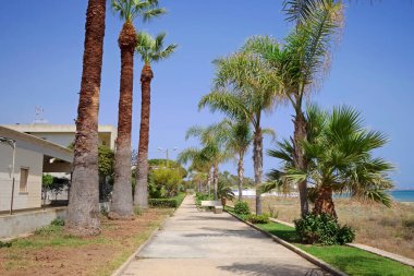 İtalya, Sicilya, Akdeniz, Playa Grande (Ragusa ili), deniz kenarında palmiye ağaçları