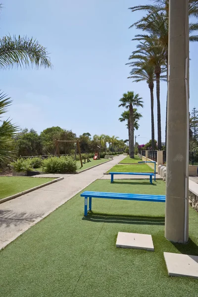 İtalya, Sicilya, Akdeniz, Playa Grande (Ragusa ili), deniz kenarında palmiye ağaçları