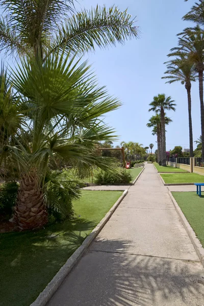 Italy Sicily Mediterranean Sea Playa Grande Ragusa Province Palm Trees — Stock Photo, Image