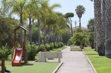 İtalya, Sicilya, Akdeniz, Playa Grande (Ragusa ili), deniz kenarında palmiye ağaçları