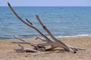 İtalya, Sicilya, Ragusa Eyaleti, Güneydoğu kıyıları, Akdeniz, kıyılarda deniz dalgaları tarafından taşınan civatalar.