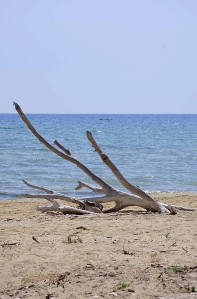 Italy Sicily Ragusa Province Southeastern Coast Mediterranean Sea Boles Carried — Stock Photo, Image