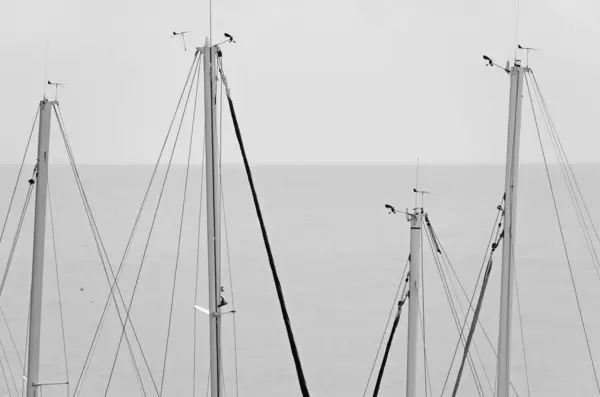 Italien Sicilien Medelhavet Marina Ragusa Ragusaprovinsen Segelbåtsmaster Hamnen — Stockfoto