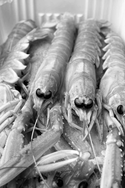 Italie Sicile Crevettes Royales Méditerranéennes Scampi Non Cuites Dans Récipient — Photo