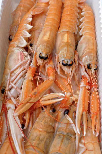 Italie Sicile Crevettes Royales Méditerranéennes Scampi Non Cuites Dans Récipient — Photo