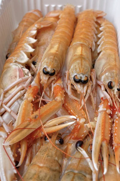 意大利西西里 未煮熟的地中海国王虾 Scampi 装在一个容器中 — 图库照片