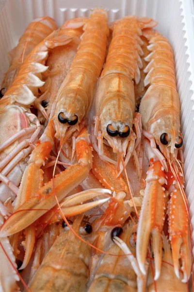 Italia Sicilia Langostinos Mediterráneos Crudos Scampi Contenedor — Foto de Stock