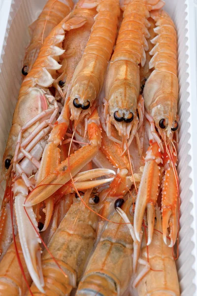 Italie Sicile Crevettes Royales Méditerranéennes Scampi Non Cuites Dans Récipient — Photo