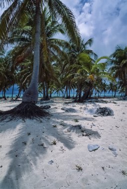 görünümü çok belize Adaları