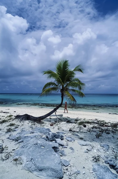 Morze Karaibskie, belize — Zdjęcie stockowe
