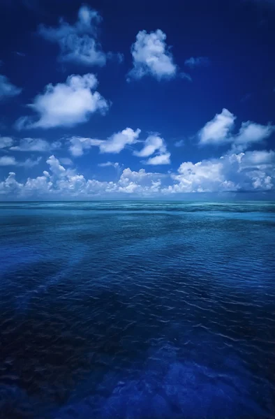 Isole dei Caraibi, Belize, barriera corallina — Foto Stock