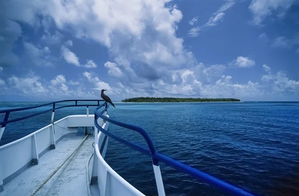 Вид на один из многих островов Белизе — стоковое фото