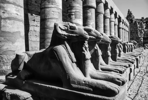 Zřícenina chrámu Karnak — Stock fotografie