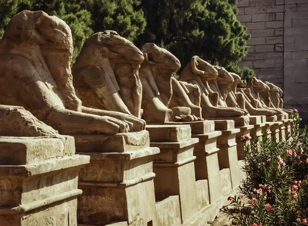 Karnak寺废墟 — 图库照片