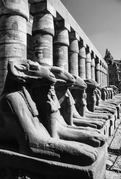 Karnak templom romjai — Stock Fotó