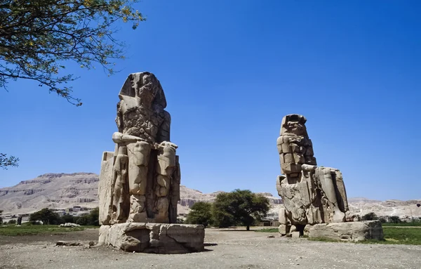 View of the Sphinx — Stock Photo, Image
