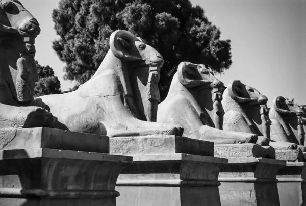 Karnak Temple ruins — Stock Photo, Image