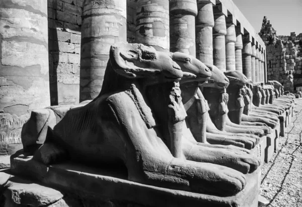 Karnak Tapınağı yıkıldı — Stok fotoğraf