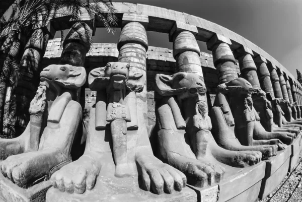 Rovine del tempio di Karnak — Foto Stock