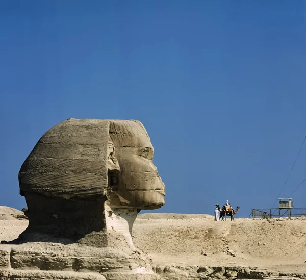 Blick auf die Sphinx — Stockfoto