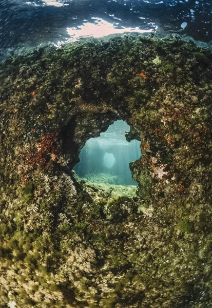 Italia, Calabria, Mar Tirreno, Briatico — Foto Stock