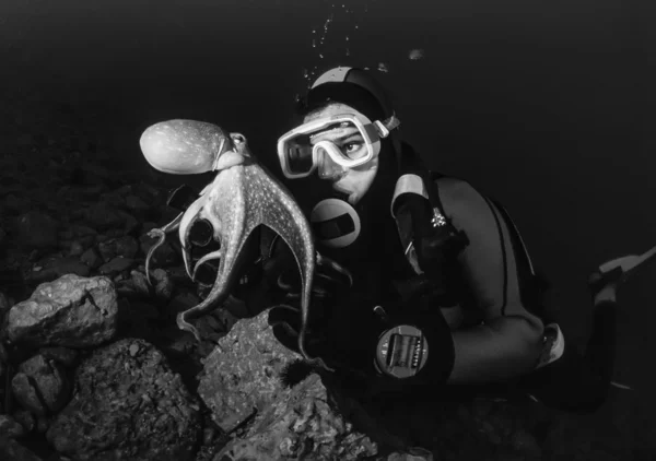 Kleine octopus en duiker in de Adriatische Zee — Stockfoto