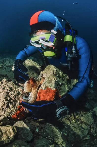 Малый осьминог и ныряльщик в Адриатическом море — стоковое фото