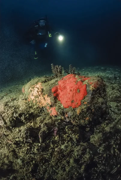 Bomba inesplosa della guerra mondiale — Foto Stock