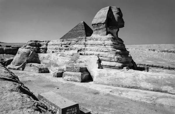 Sphinx and Cheops Pyramid — Stock Photo, Image