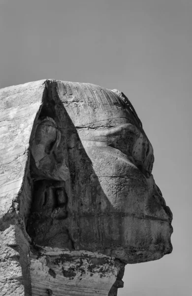 Ägyptische Sphinx — Stockfoto