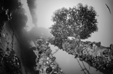 batık dalış, Batığı umbria