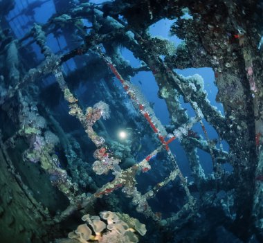 batık dalış, Batığı umbria