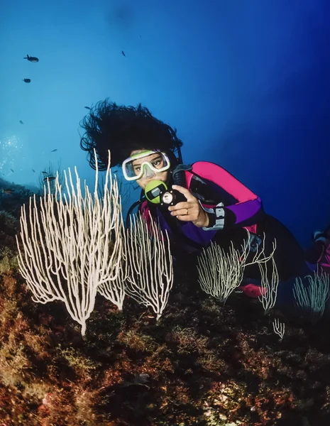 Diver and white gorgonians — Stock Photo, Image