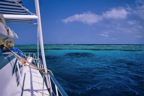 Grote koraal rif vanaf de boot — Stockfoto