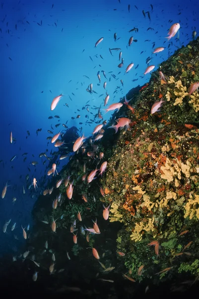 Italy, Tyrrhenian Sea — Stock Photo, Image