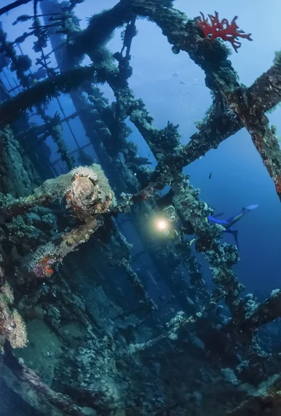 Wreck diving, Umbria wreck — Stock Photo, Image