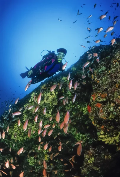 Italy, Tyrrhenian Sea — Stock Photo, Image