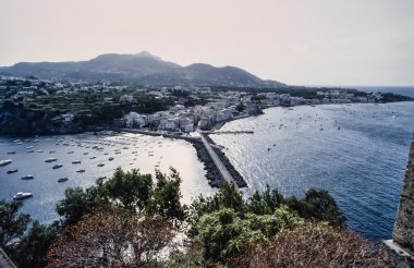 View of the island from the Aragonese Castle clipart