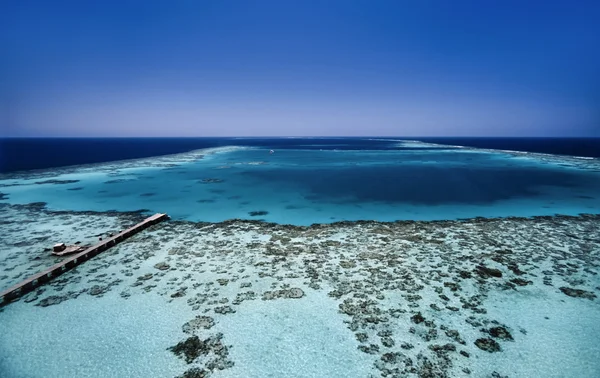 Visa av enorma korallrev巨大なサンゴ礁のビュー — Stockfoto