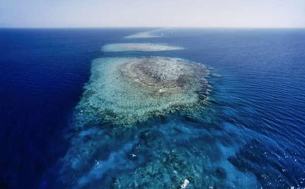 Вид на огромный коралловый риф — стоковое фото