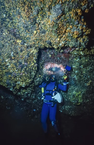 Plongeur prenant des photos de corail rouge — Photo