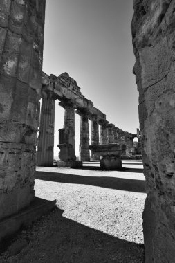 İtalya, Sicilya, Selinunte