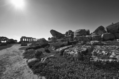 İtalya, Sicilya, Selinunte