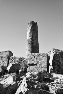 İtalya, Sicilya, Selinunte