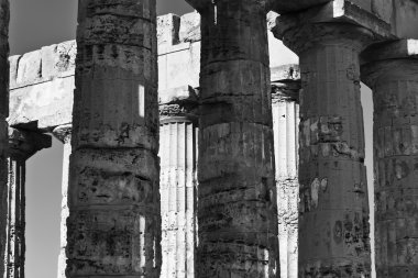 İtalya, Sicilya, Selinunte