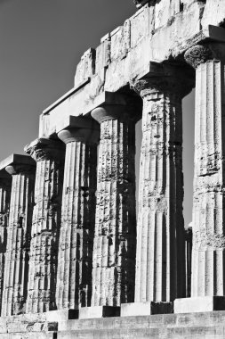 İtalya, Sicilya, Selinunte