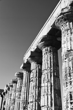 İtalya, Sicilya, Selinunte