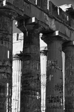 İtalya, Sicilya, Selinunte