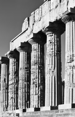 İtalya, Sicilya, Selinunte